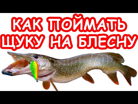 Видео: Как поймать щуку на блесну. Ловля щуки на колеблющиеся блесны. Проводка блесен
