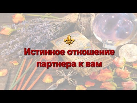 Видео: ⚜️Истинное отношение партнера к вам⚜️