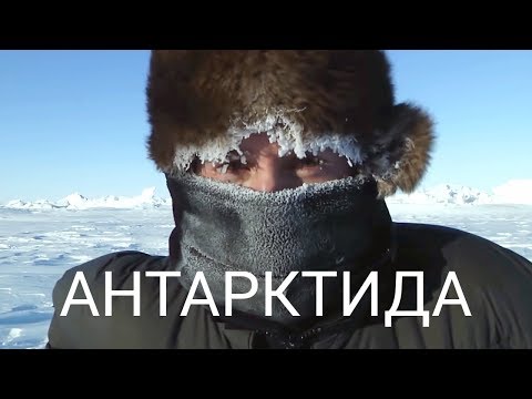 Видео: Антарктида: Год на льду. Документальный фильм