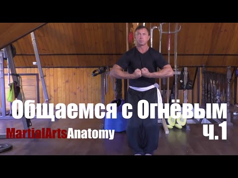 Видео: Общаемся с Андреем Огнёвым ч.1 Хонг За Куен