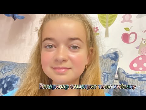 Видео: АСМР «Ветеринар осмотрит твою собаку на приёме»