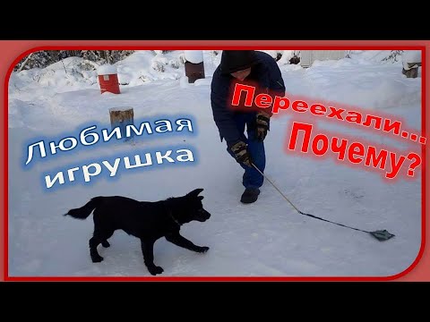 Видео: Почему мы переехали в Карелию. Плюсы и минусы проживания в Карелии.