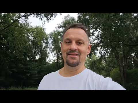 Видео: Две темы о нидерландцах