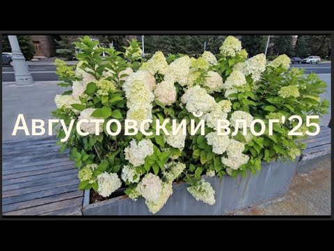 Видео: Августовский влог'25