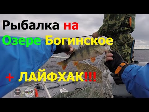 Видео: Рыбалка на Озере Богинское