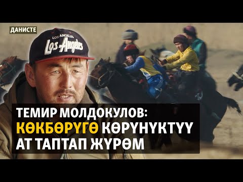 Видео: Көкбөрү: Элетте сакталган элдик мурас | ДАНИСТЕ