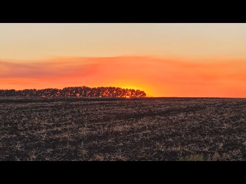 Видео: САД С НУЛЯ 2: подготовка земли, разметка черешневого сада
