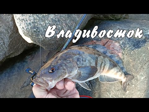 Видео: Морская рыбалка в Владивостоке