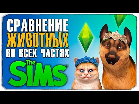 Видео: СРАВНЕНИЕ ЖИВОТНЫХ ВО ВСЕХ ЧАСТЯХ ИГРЫ "THE SIMS" (The Sims/The Sims 2/The Sims 3/The Sims 4)😜