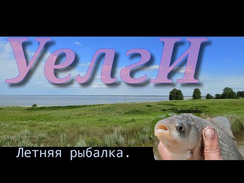 Видео: 🐟УЕЛГИ🐟Без Подсака не Обойтись.