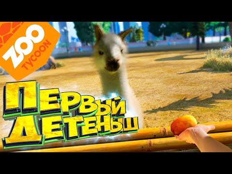 Видео: Первый Детёныш в ЗООПАРКЕ - Прохождение #2 - ZOO Tycoon