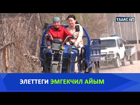 Видео: Элеттеги эмгекчил айым