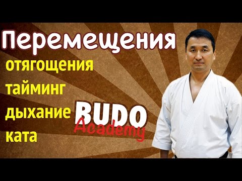 Видео: Перемещения в каратэ. Отягощения, тайминг, дыхание, ката.  Олег Цой