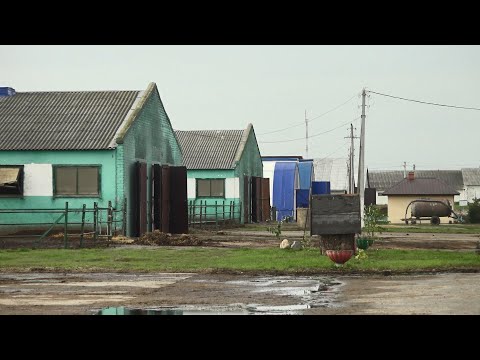 Видео: Хищение в сельском хозяйстве. Выездной суд в ОАО "Оснежицкое"
