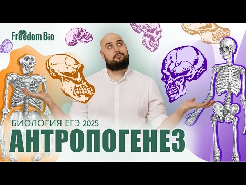 Видео: ТЕОРИИ ПРОИСХОЖДЕНИЯ ЖИЗНИ + АНТРОПОГЕНЕЗ |Эволюция| ЕГЭ БИОЛОГИЯ 2025|Freedom|