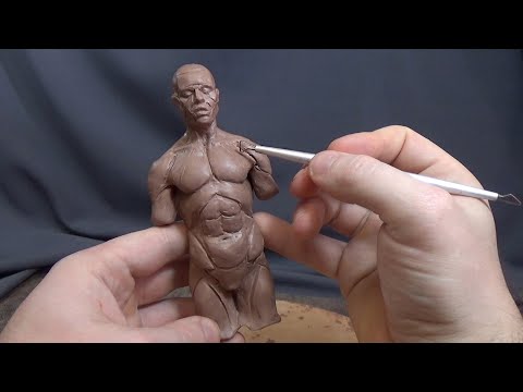 Видео: Как лепить туловище, форма и пропорции тела СТЕКА_урок