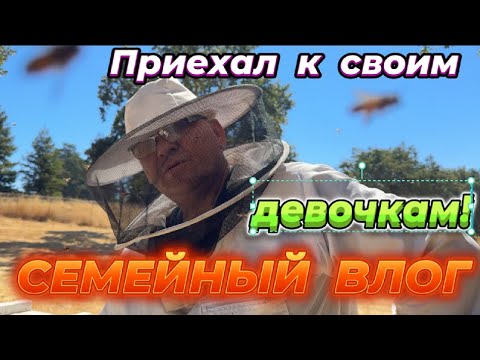 Видео: " Я ХОТЕЛ ОТ НИХ ИЗБАВИТЬСЯ, ПОТОМУ ЧТО ВКЛАДЫВАЕШЬ, А ОТДАЧИ НИКАКОЙ!?"