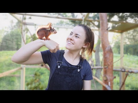 Видео: Спасённый бельчонок впервые выходит на улицу! (Эпизод 4)