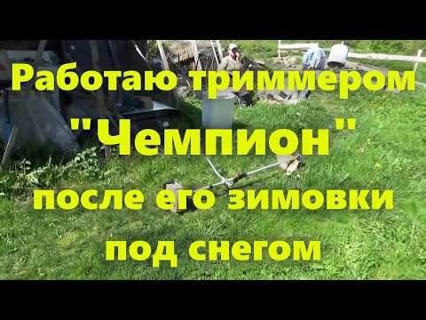 Видео: Китайский бензиновый триммер для травы "Чемпион" и работа им после зимы. Плюсы и минусы.