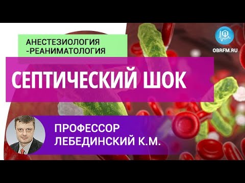 Видео: Профессор Лебединский К.М: Септический шок