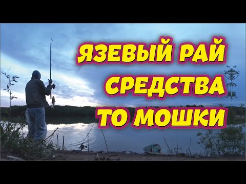 Видео: Рыбалка с ночёвкой на Нуре - Язевый рай - Средства то мошки