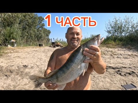 Видео: РЫБАЛКА р. Обь.Алтайский край