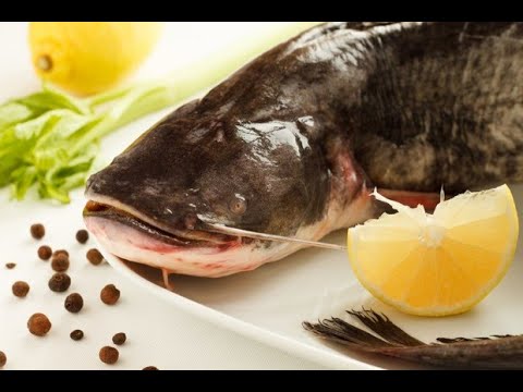 Видео: СОМ в Духовке! ЛУЧШИЙ рецепт!