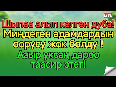 Видео: Шыпаа алып келген дуба!🌟Миңдеген адамдардын оорусу жок болду!Азыр уксаң дароо таасир этет!✨