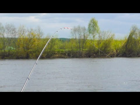 Видео: ДНЕПР ОЖИЛ!!! Первый выезд на ФИДЕР и сразу с РЫБОЙ! Испытание нового фидерного монтажа.