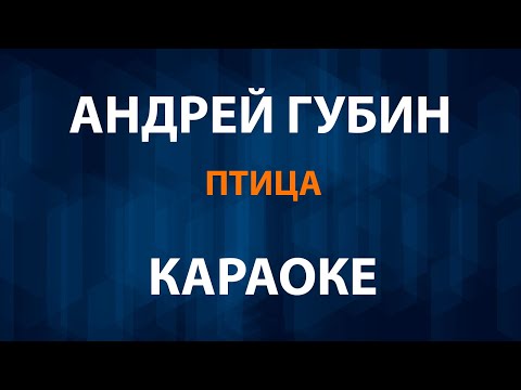 Видео: Андрей Губин - Птица (Караоке)