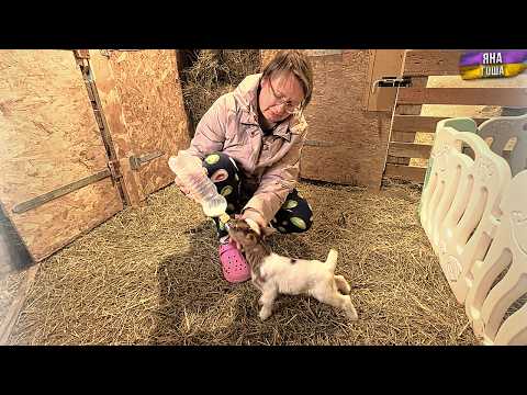 Видео: ЧТО БУДЕТ С КОЗЛЕНКОМ! МЫ ИЗБАВИЛИСЬ ОТ УТОК!