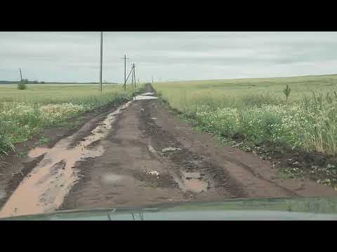 Видео: Нива в поле на бездорожье 22 июня 2024 г.