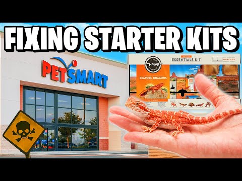 Видео: Я починил стартовый набор Bearded Dragon от PetSmart