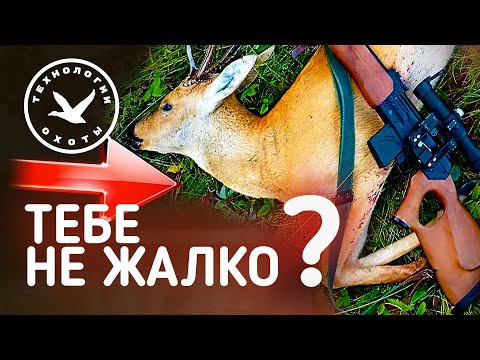 Видео: Тебе не жалко? Ответ охотника на вопрос.