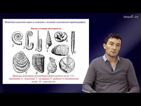 Видео: Габдуллин Р.Р. - Секвентная  стратиграфия - 9. Методика изучения керна и скважин