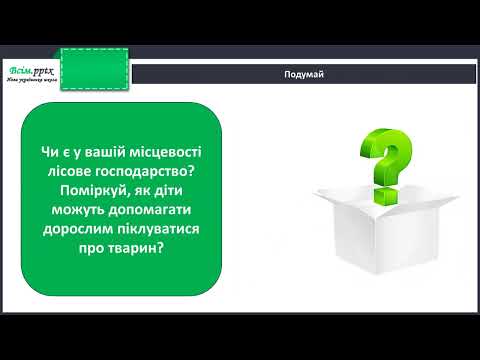 Видео: Як зимують птахи та звірі