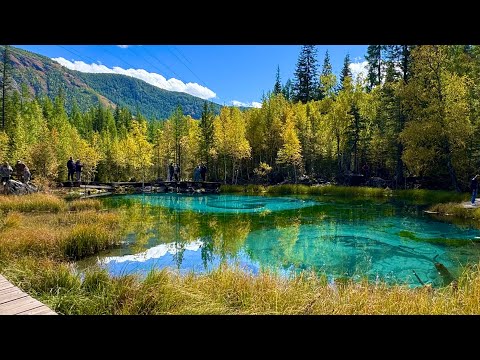 Видео: Алтай.Сентябрь 2024г