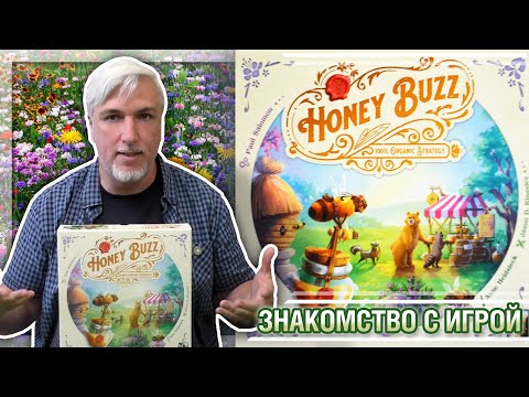 Видео: Знакомство с настольной игрой «HONEY BUZZ»