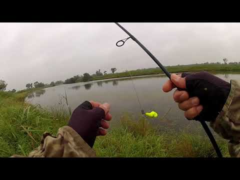 Видео: Щучки на силикон, 10 августа 2019 года.