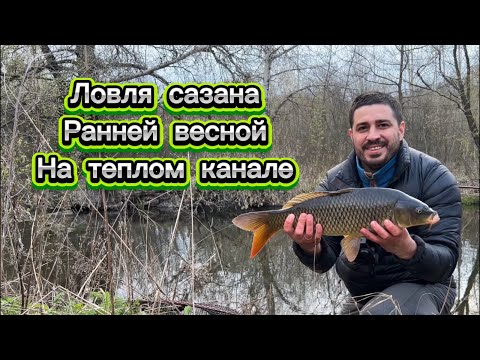 Видео: Ловля сазана, ранней весной, на канале к речке Северский Донец