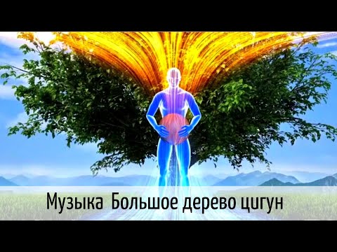 Видео: Музыка цигун для упражнения большое дерево (45 мин).
