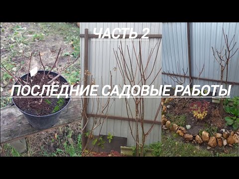 Видео: 244#Последние осенние работы//Часть 2//03.11.25🍁🍂🌧️