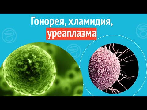 Видео: 😦 Гонорея, хламидия, уреаплазма и гарднерелла. Клинический случай №1281