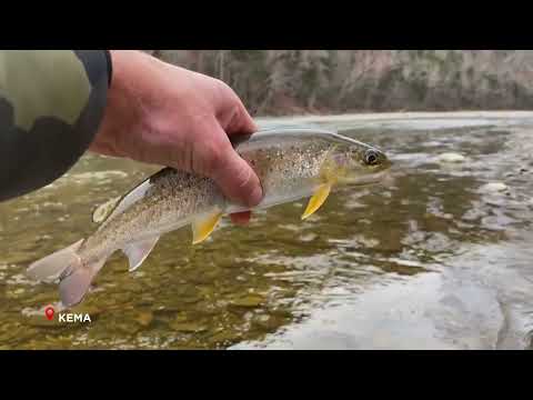 Видео: Приморье. Поехали! Реки и водоёмы Приморья.