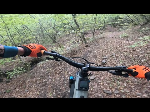 Видео: Дохлая Лиса 2025