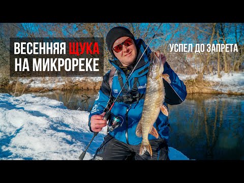 Видео: Щука на спиннинг весной. Речка в Подмосковье раздаёт!