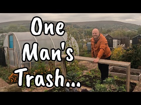 Видео: Выполняем осенние работы | Садоводство на участке в Великобритании