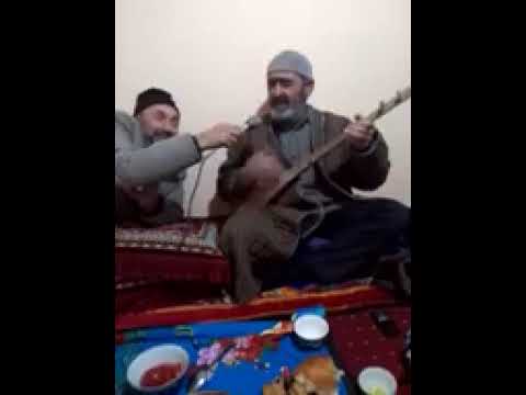 Видео: мулобобо