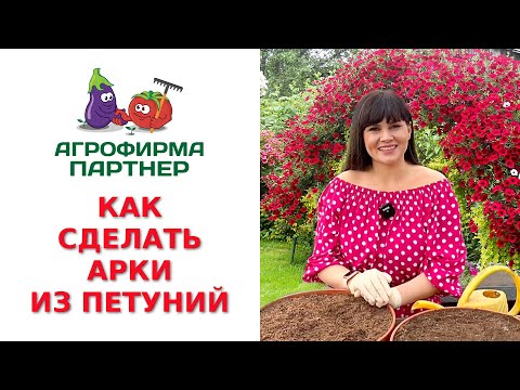 Видео: КАК СДЕЛАТЬ АРКИ ИЗ ПЕТУНИЙ