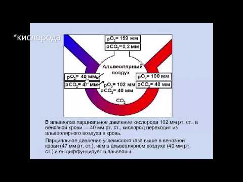 Видео: Парциальное давление - что это такое?